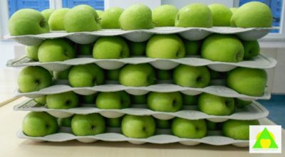 Pakovanje za teleskopsku kutiju