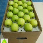 Popunjena teleskopska kutija