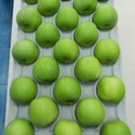 Izgled podloske za jabuku