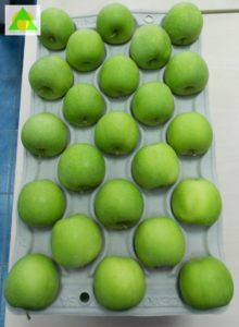 Izgled podloske za jabuku