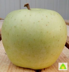 Plod Zlatnog Delisesa