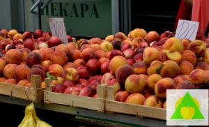 Obilne padavine utiču na kvalitet breskve ali i na svo ostalo voće i povrće