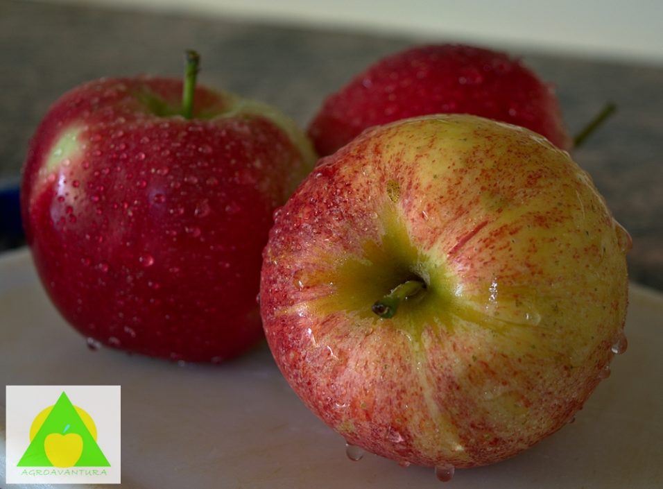 Pranje voca i povrca rastvorom sirceta