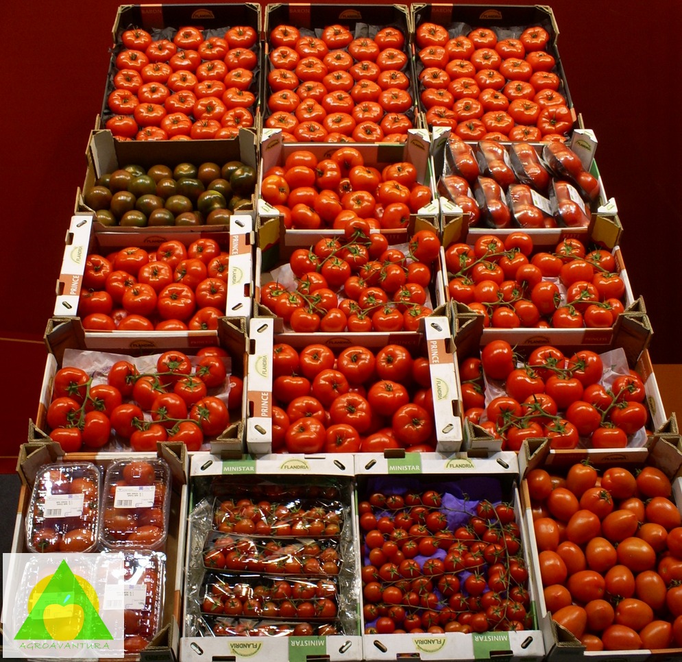 Najkraće rečeno, osobine kojima se može opisati i oceniti kvalitet voća i povrća su: boja i izgled, ukus, tekstura i nutritivna vrednost.