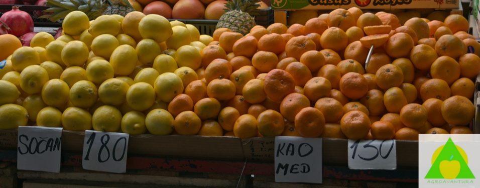 Kakav znacaj agrumi imaju u ljudskoj ishrani