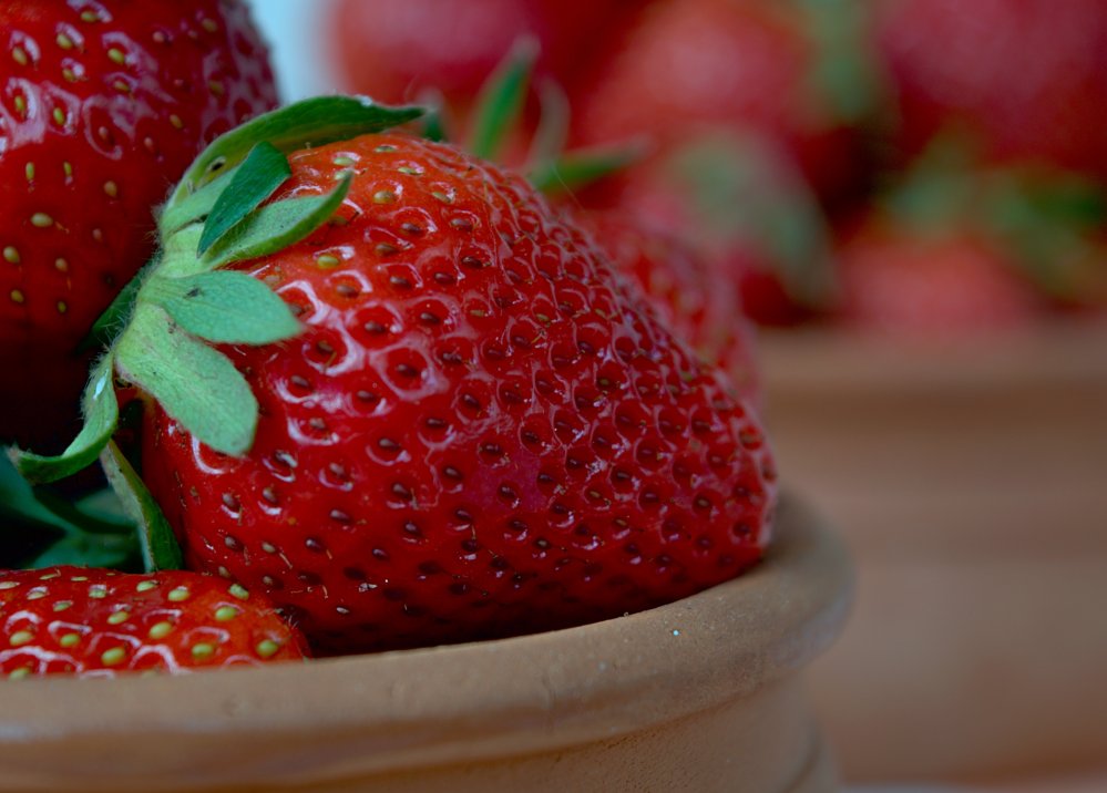 Sveži plodovi jagode