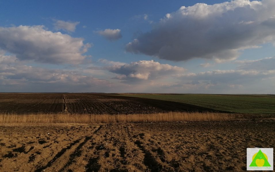 pH vrednost zemljišta; edafski faktori - karakteristike zemljista zemljišta